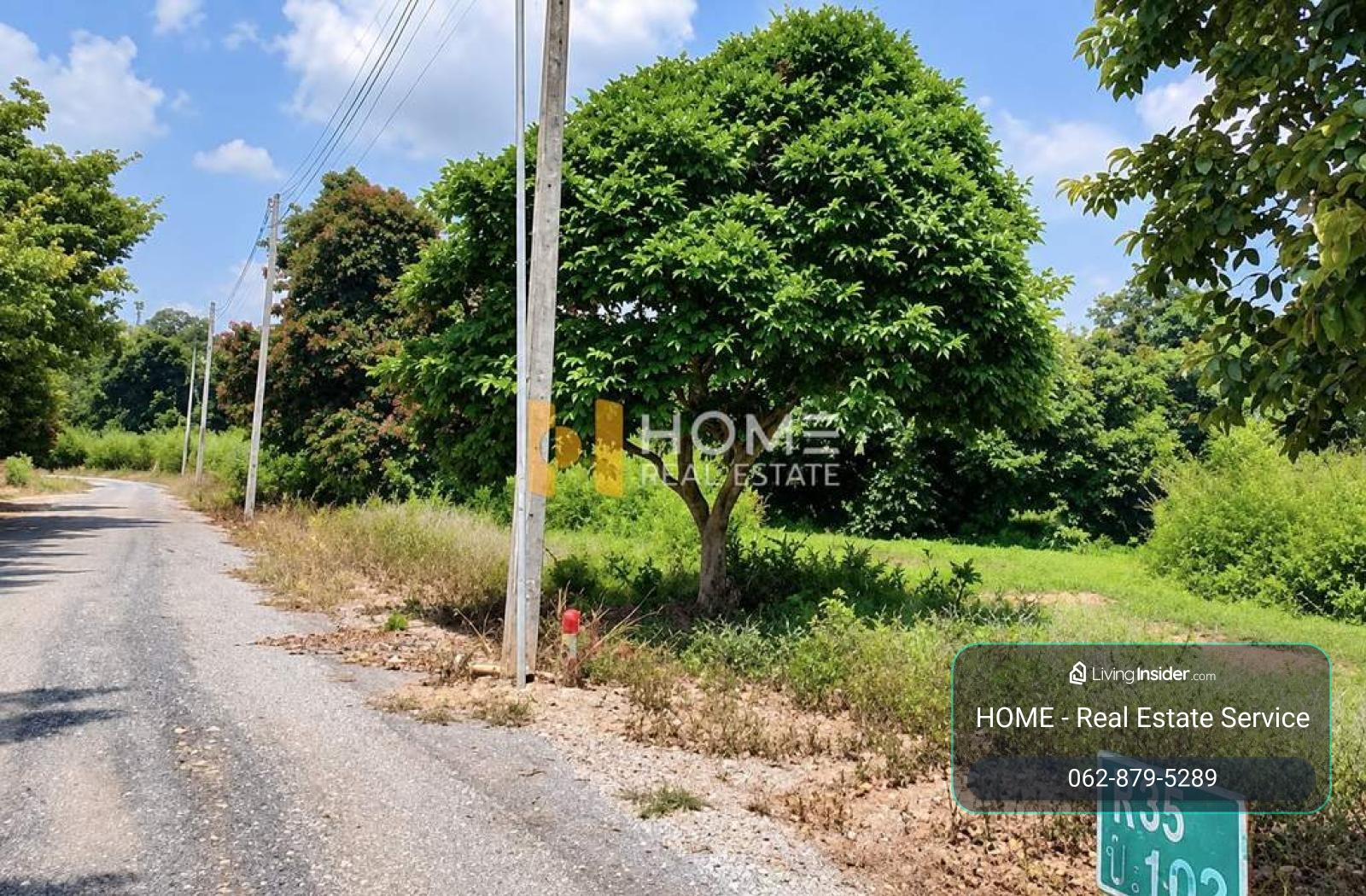 ที่ดิน ฮอลิเดย์ พาร์ค รีสอร์ท เขาใหญ่ / 391 ตร.วา (ขาย), Land Holiday Park Resort KhaoYai / 391 Square Wa (FOR SALE) PALR002 – รูปที่ 3
