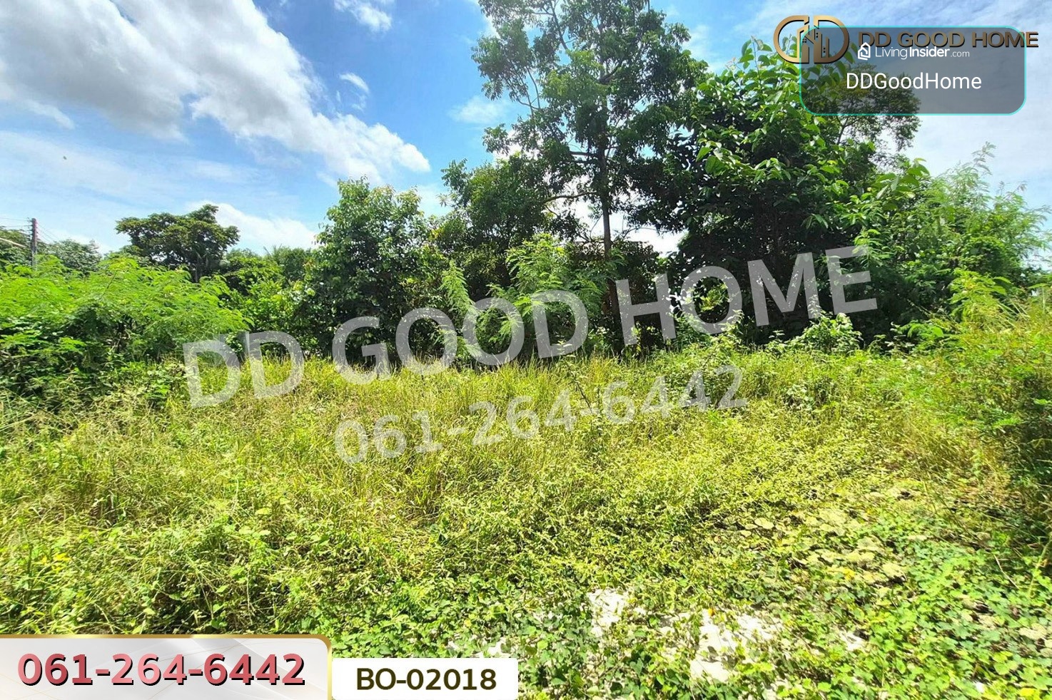 ที่ดินบางไทร 104 ตร.ว. พระนครศรีอยุธยา ใกล้นิคมอุตสาหกรรมนวนคร BO-02018 – รูปที่ 2