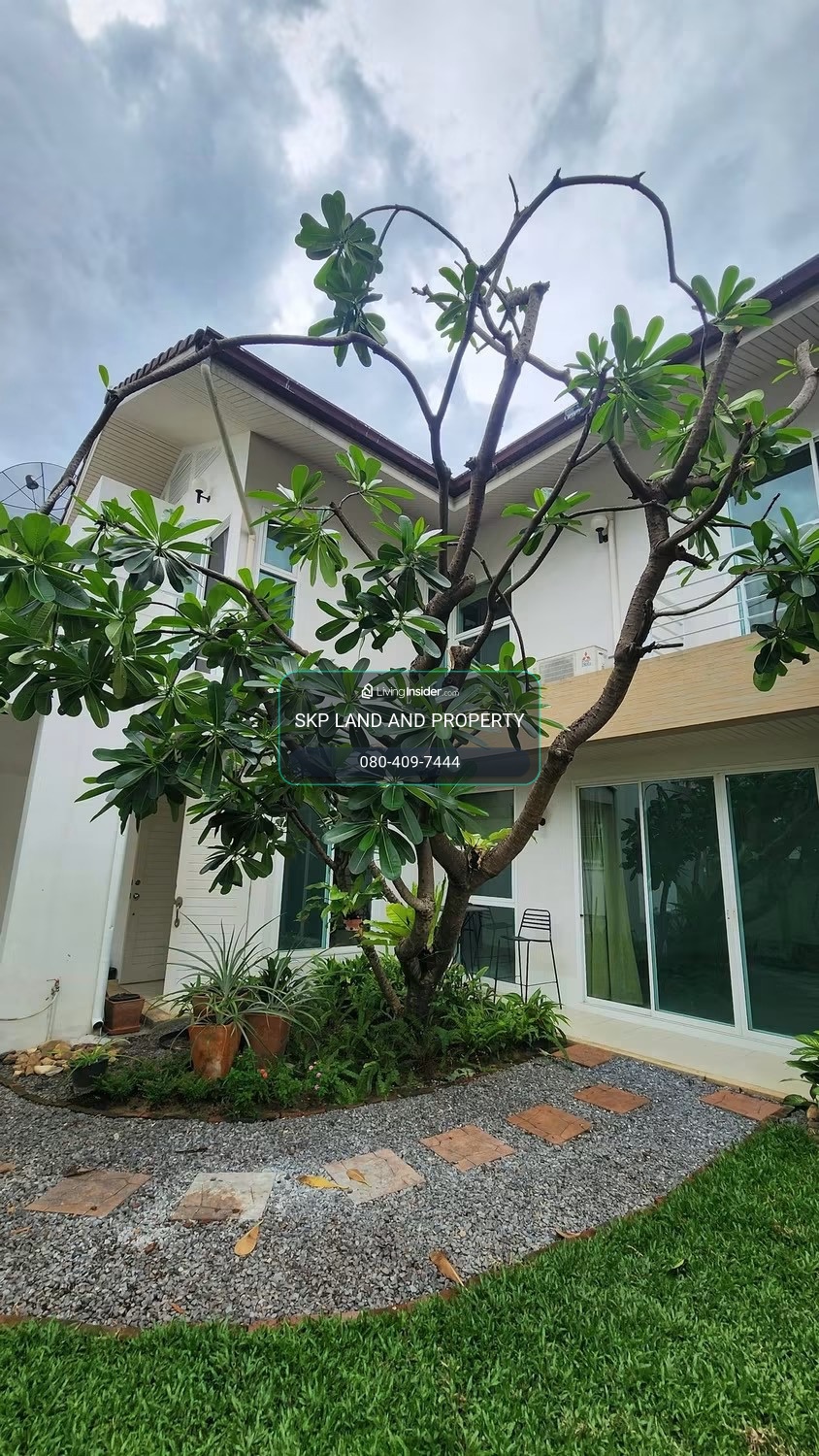 ให้เช่าบ้านเดี่ยว สุขุมวิท 49 Pet Friendly ใกล้ห้าง EmQuartier และรถไฟฟ้า BTS พร้อมพงษ์ / ทองหล่อ – รูปที่ 2