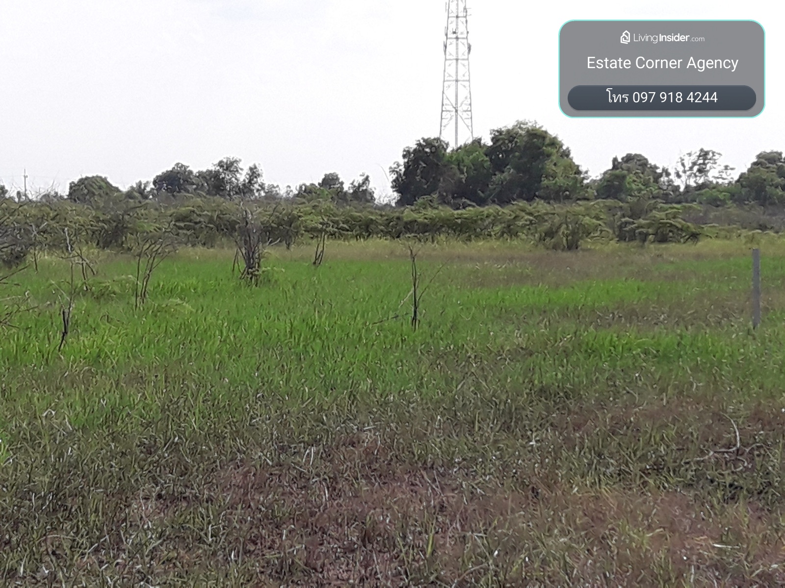 96852 - ขายด่วน ที่ดินเปล่า 100 ตร.ว. ทำเลทอง โพธิ์แทน องครักษ์ นครนายก – รูปที่ 2