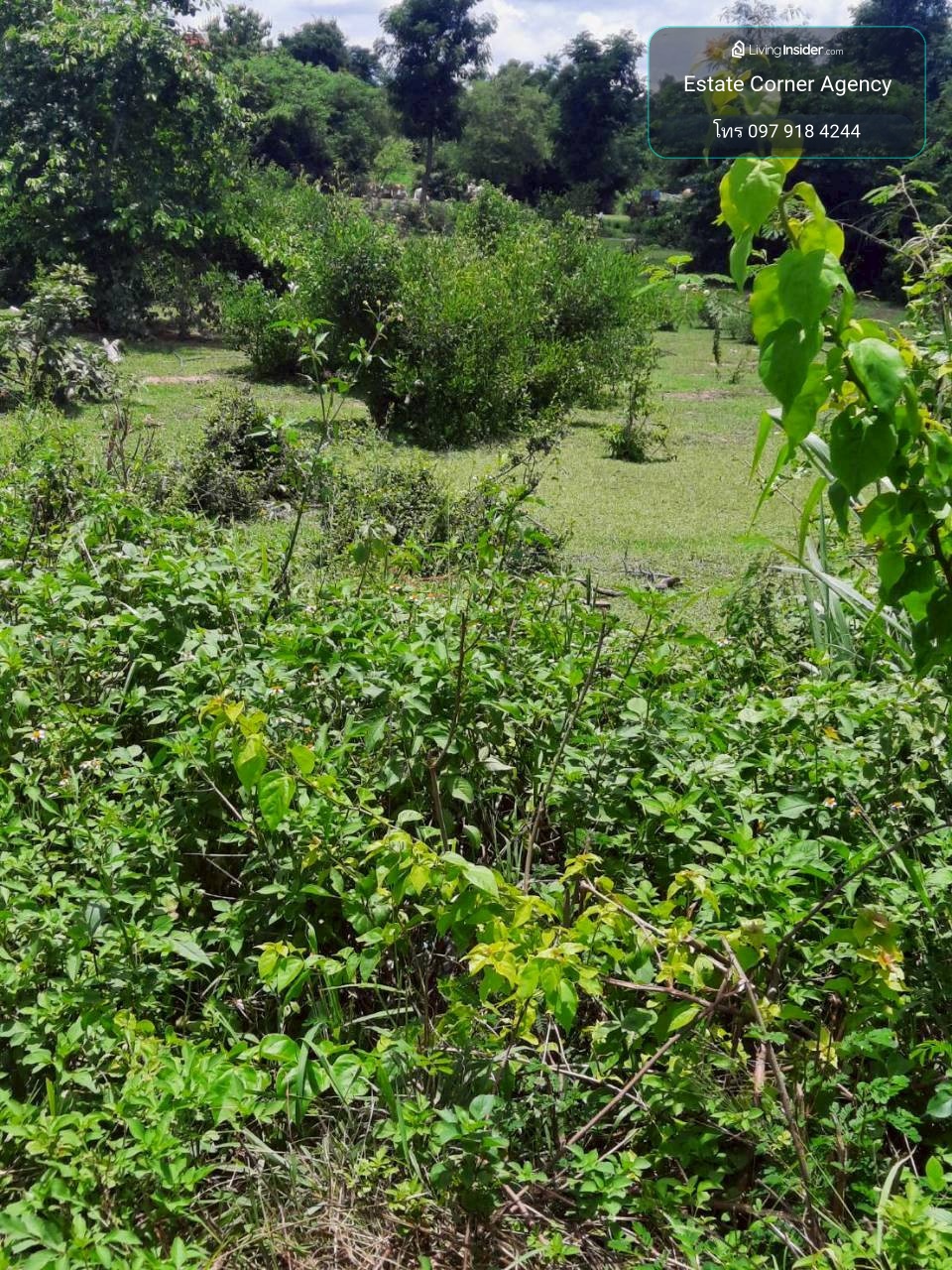 85960 - Empty land for sale, beautiful plot, 100 square meters, Doi Lor District, Chiang Mai Province, only 50 m. from Road 108, near Doi Lor District Office. – รูปที่ 4