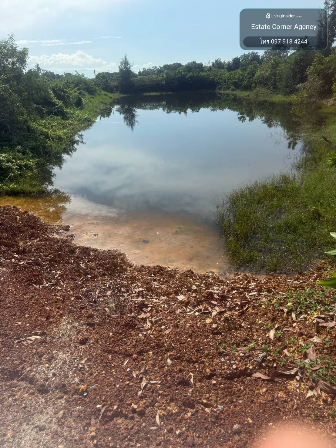 98401 - Vacant land for sale, 32 rai 3 ngan 31 sq m., Tha Mai Subdistrict, Tha Mai District, Chanthaburi Province. – รูปที่ 3
