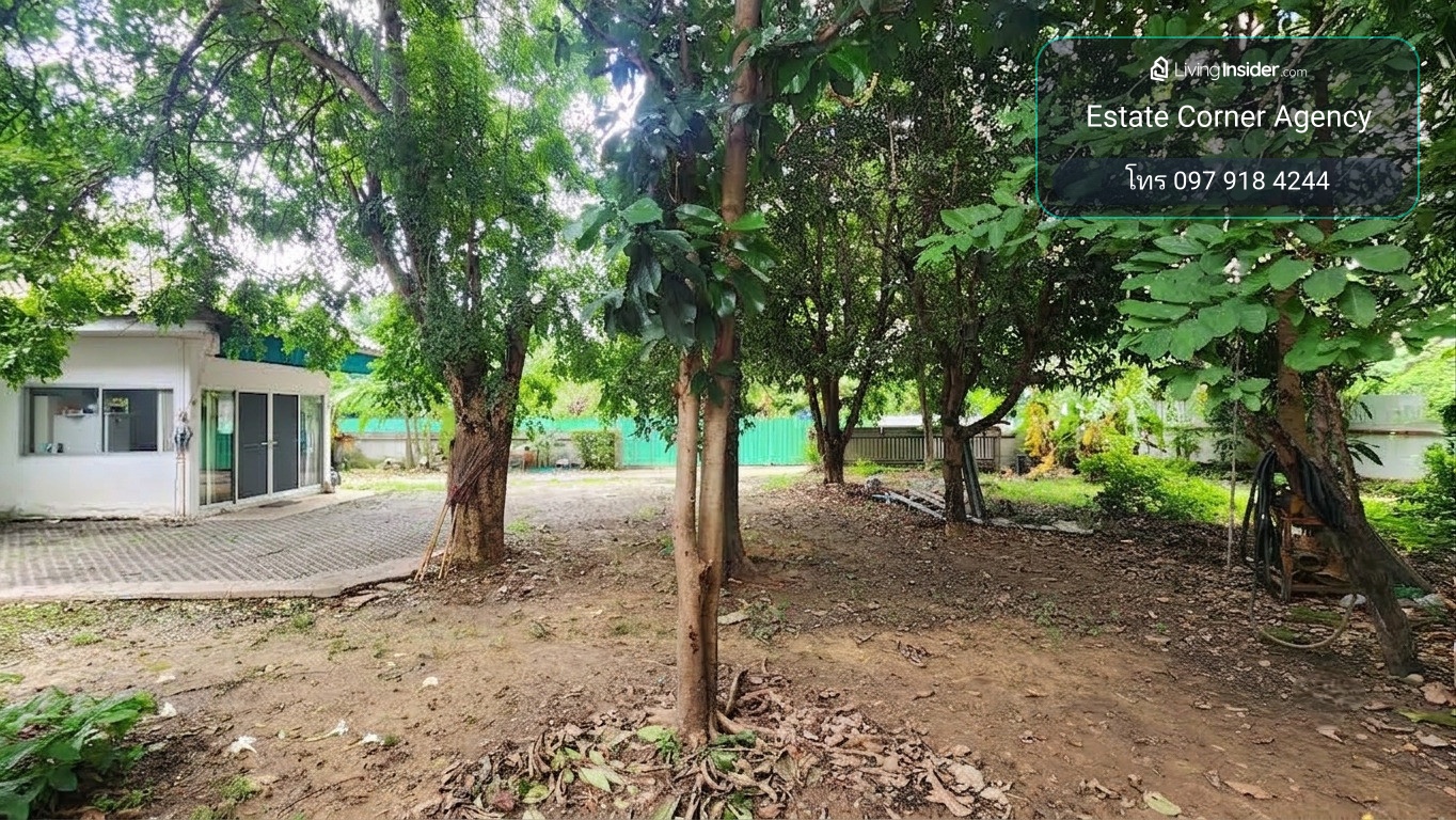 92920 - Land for sale with one-story detached house. Soi Ngamwongwan 18, Intersection 10 (Chulakasem 16/4), size 260.8 sq m, usable area 220 sq m, spacious area. – รูปที่ 2