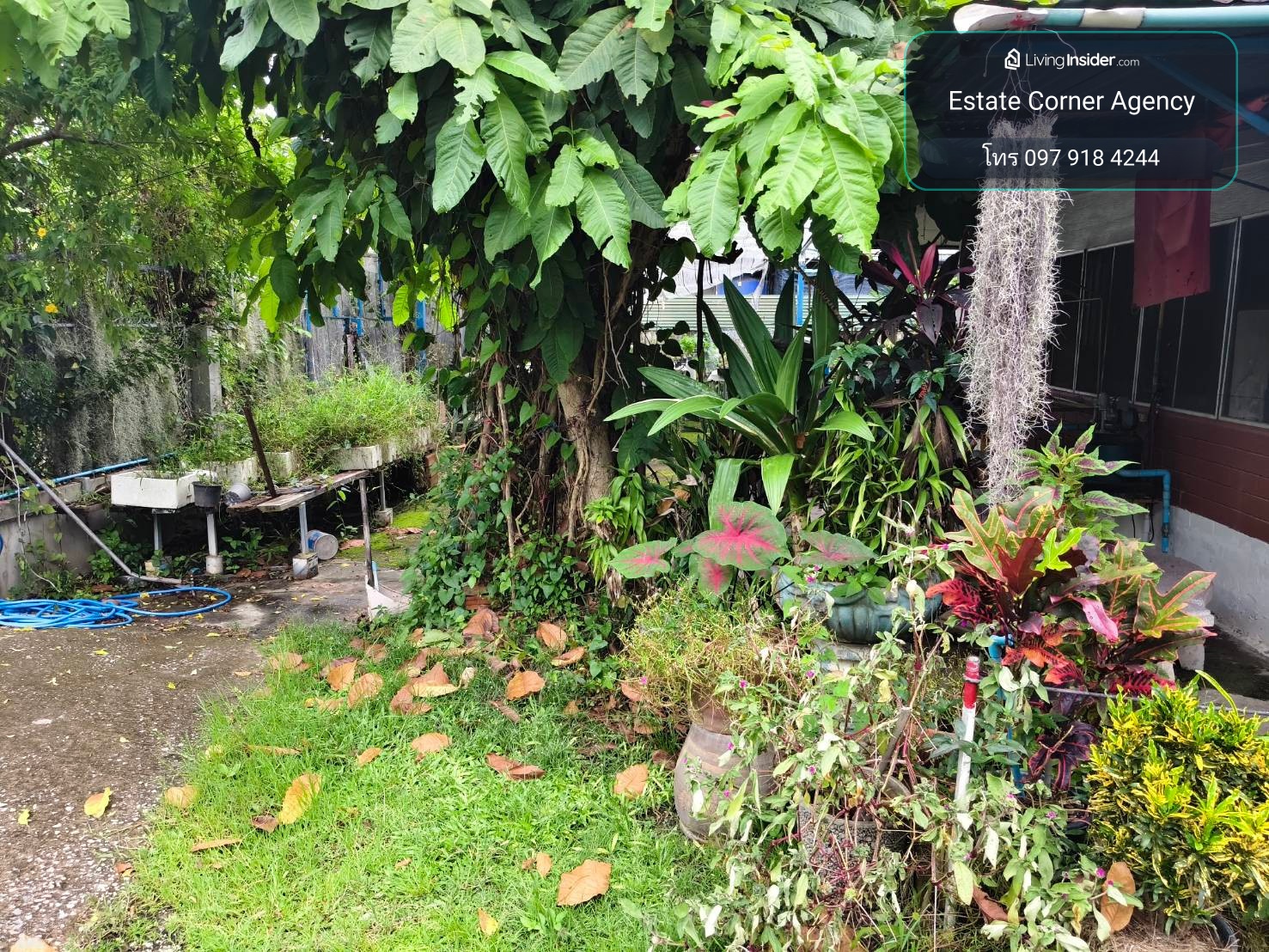 95858 - House for sale with land size 200 square meters, good location. – รูปที่ 3