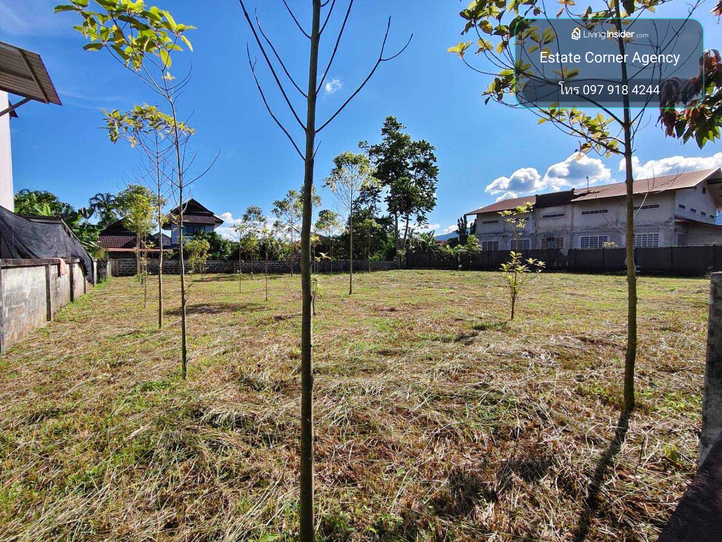 98698 - ขาย ที่ดินเปล่า ถมแล้ว 127.6 ตรว. ในโครงการบ้านระเบียงชมฟ้า รีสอร์ท เชียงราย ทำเลดี ใกล้ถนนพหลโยธินเพียง 100 เมตร – รูปที่ 4