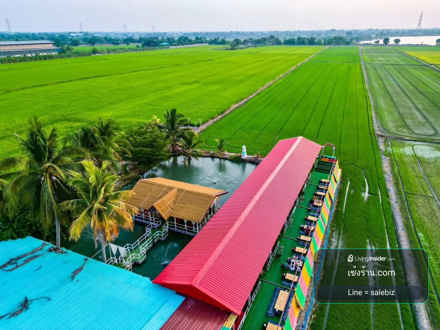 เซ้ง ร้านอาหารขนาดใหญ่-ทุ่งนา สามโคก ปทุมธานี พื้นที่1ไร่ ค่าเช่าเพียง 5,000 บ ที่จอดรถเยอะมาก – รูปที่ 3