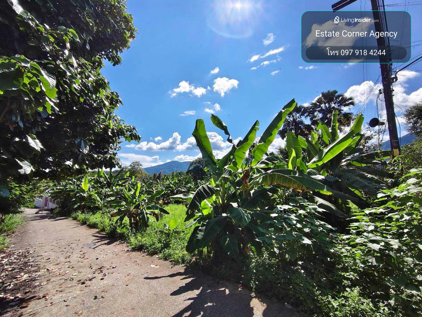 98663 - Beautiful land for sale, already filled, next to public roads on two sides. 500 meters from the main road, suitable size 1 ngan 45 sq m., Zone (Nang Lae), Tha Sud, Mueang Chiang Rai District, Chiang Rai Province. – รูปที่ 4
