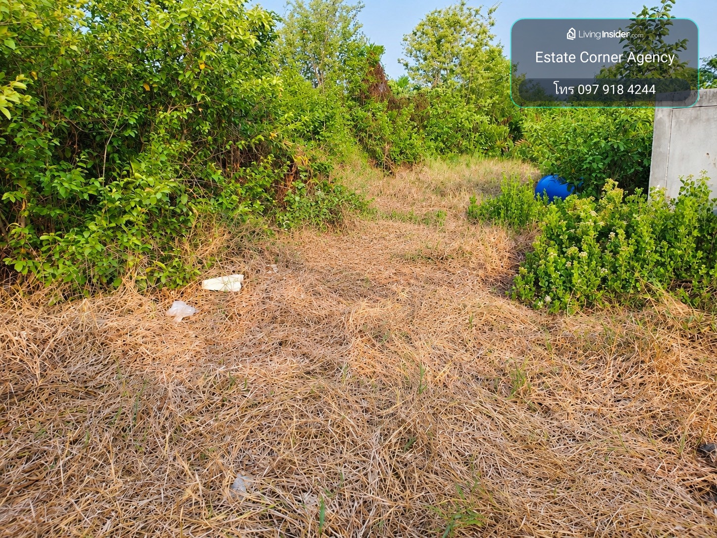 98681 - Vacant land for sale, 9 rai 3 ngan 98 sq m, Bang Kla District, Chachoengsao Province (negotiable) – รูปที่ 4