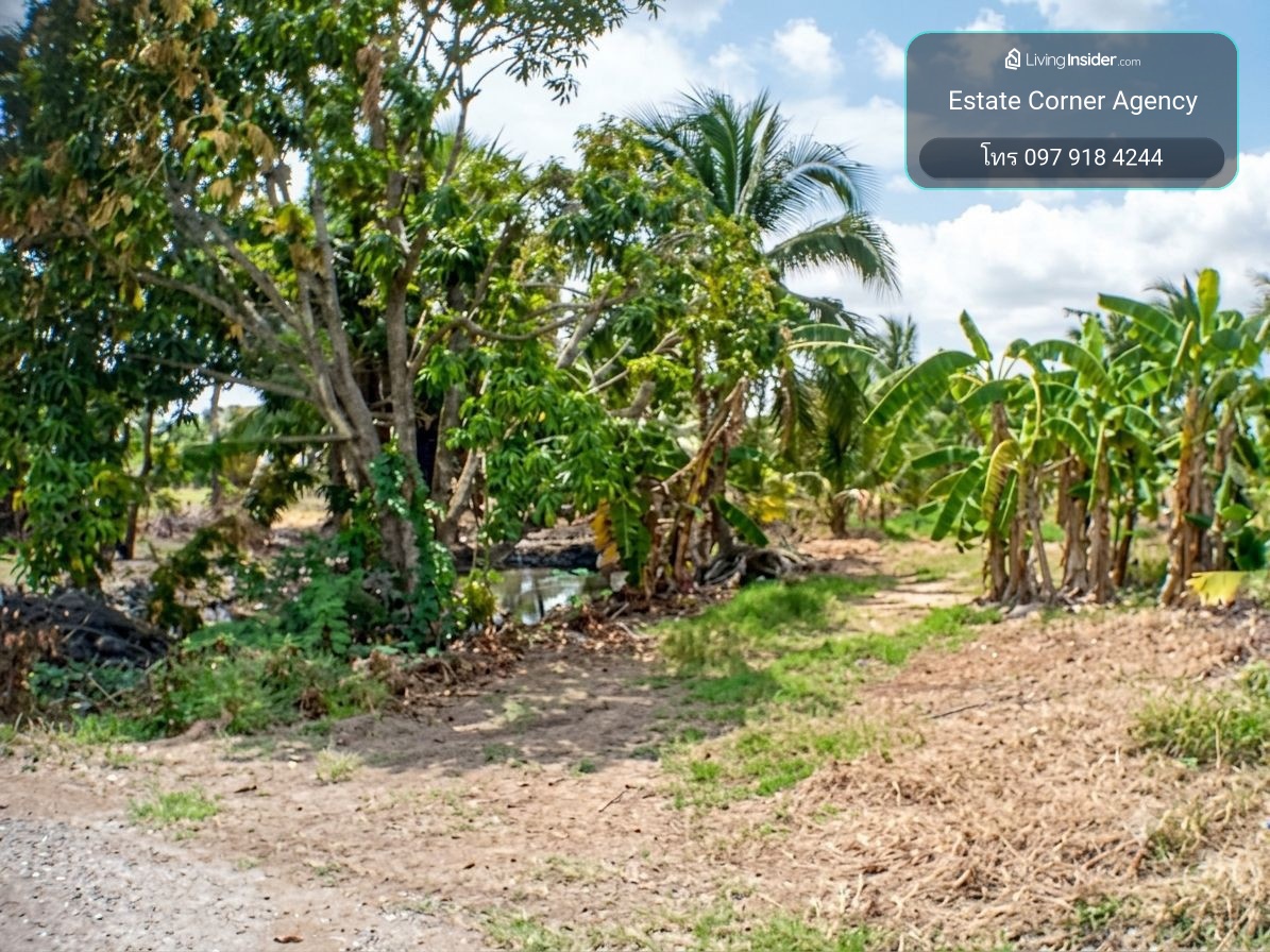 97985 - Urgent! Beautiful plot of land for sale With buildings, prime location, high potential, near Saman Rattanaram Temple, Chachoengsao Province, just 5 minutes! – รูปที่ 4