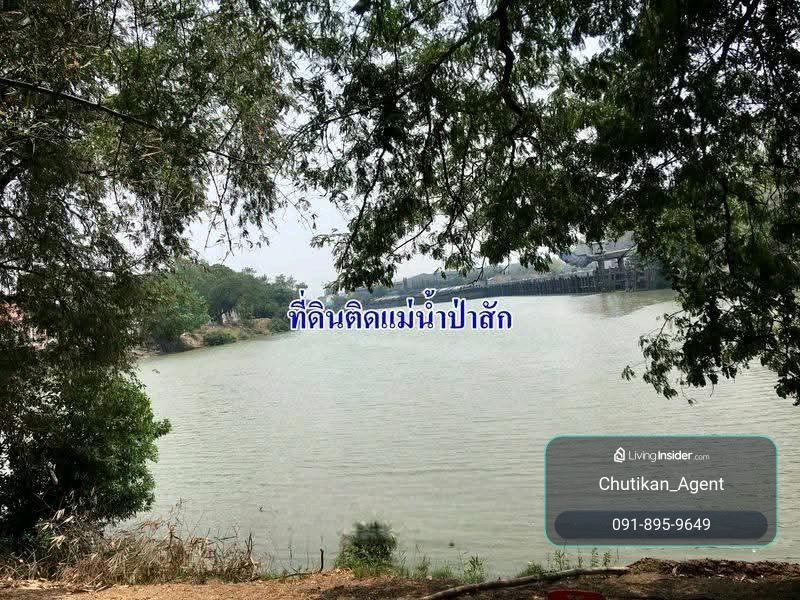 📢ขายที่ดินเปล่าติดแม่น้ำป่าสักพื้นที่ 2-2-17ไร่ ต.ปากจั่น อ.นครหลวง จ.พระนครศรีอยุธยา ที่ดินหันหน้าทางทิศเหนือ พื้นที่สีเขียว  – รูปที่ 2