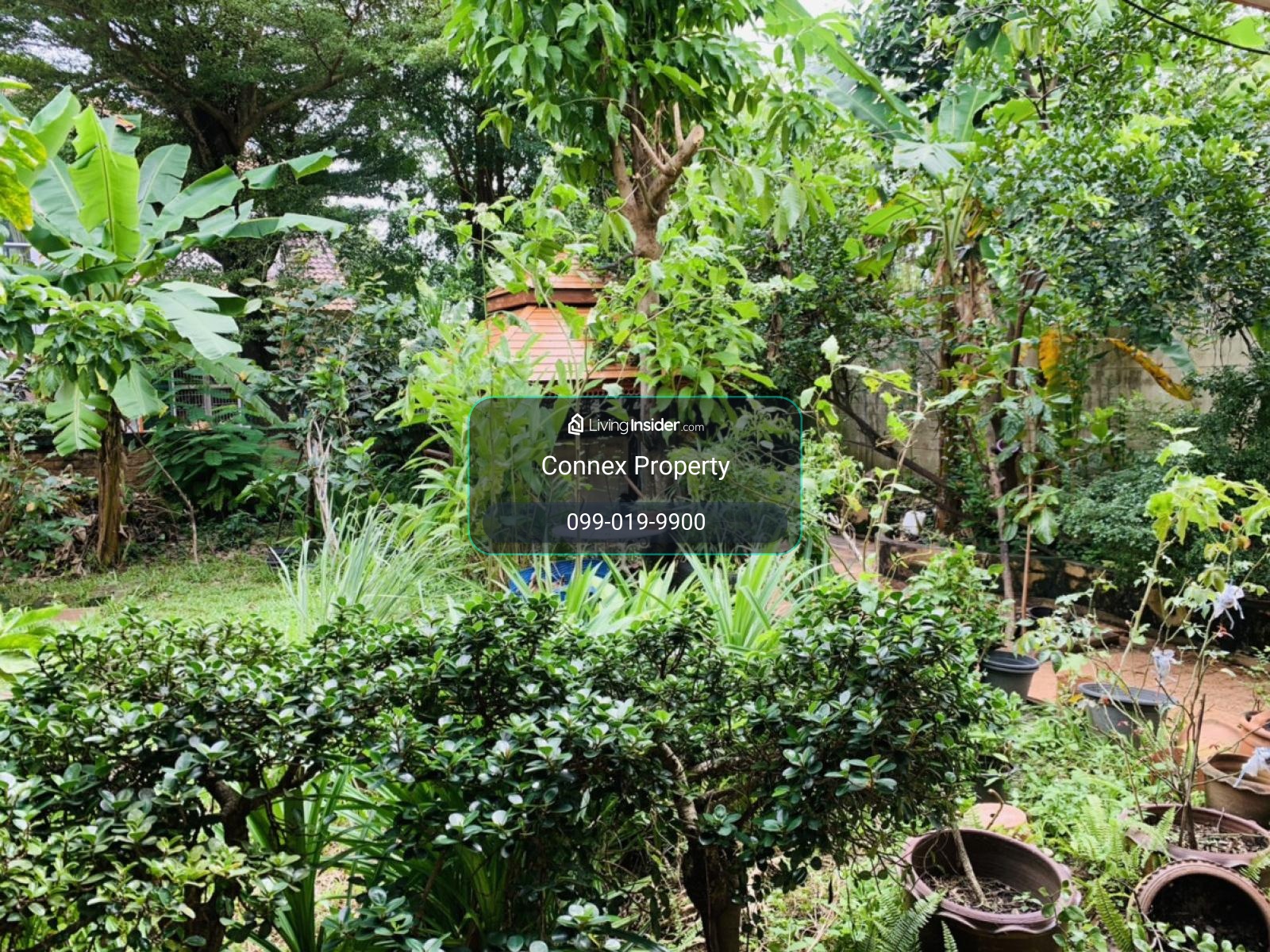 For Sale House , PRINYADA PINKLAO - BUDDHAMONTHON 2 , Bang Phai , Bang Khae , Bangkok , CX-178566 – รูปที่ 3