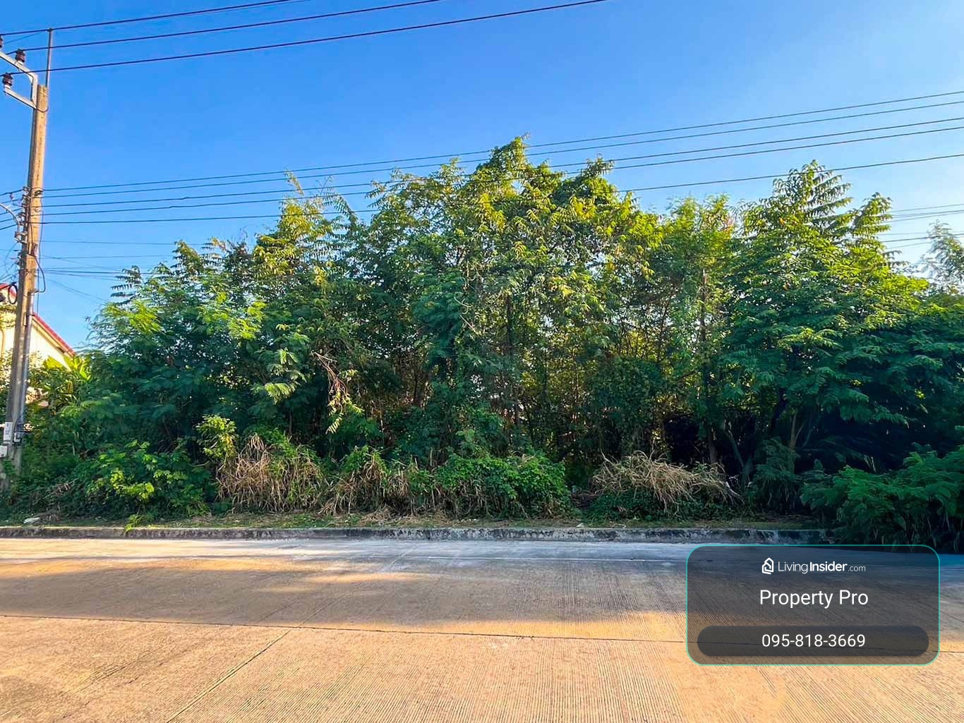ขาย ที่ดินเปล่า Floraville Park City สุวินทวงศ์ 38 ขนาด 80 ตรว ใกล้ มีนบุรี ร่มเกล้า ฉลองกรุง เชื่อมสัมพันธ์  กฟผ.หนองจอก : KT26S-015  – รูปที่ 3