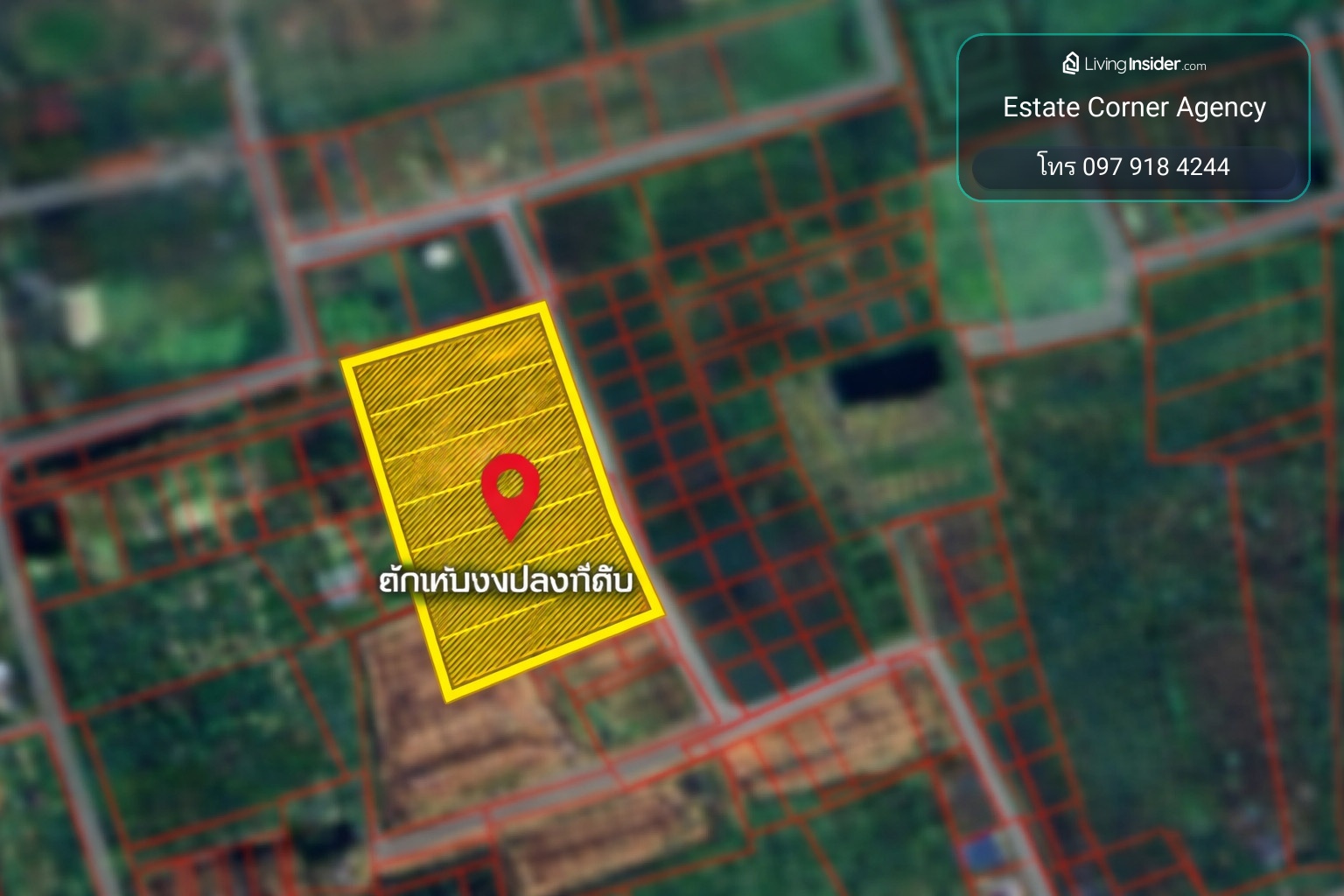 95531 - ขาย ที่ดินแปลงใหญ่ ติดถนนลาดยาง ต.วังขนาย อ.ท่าม่วง จ.กาญจนบุรี – รูปที่ 3