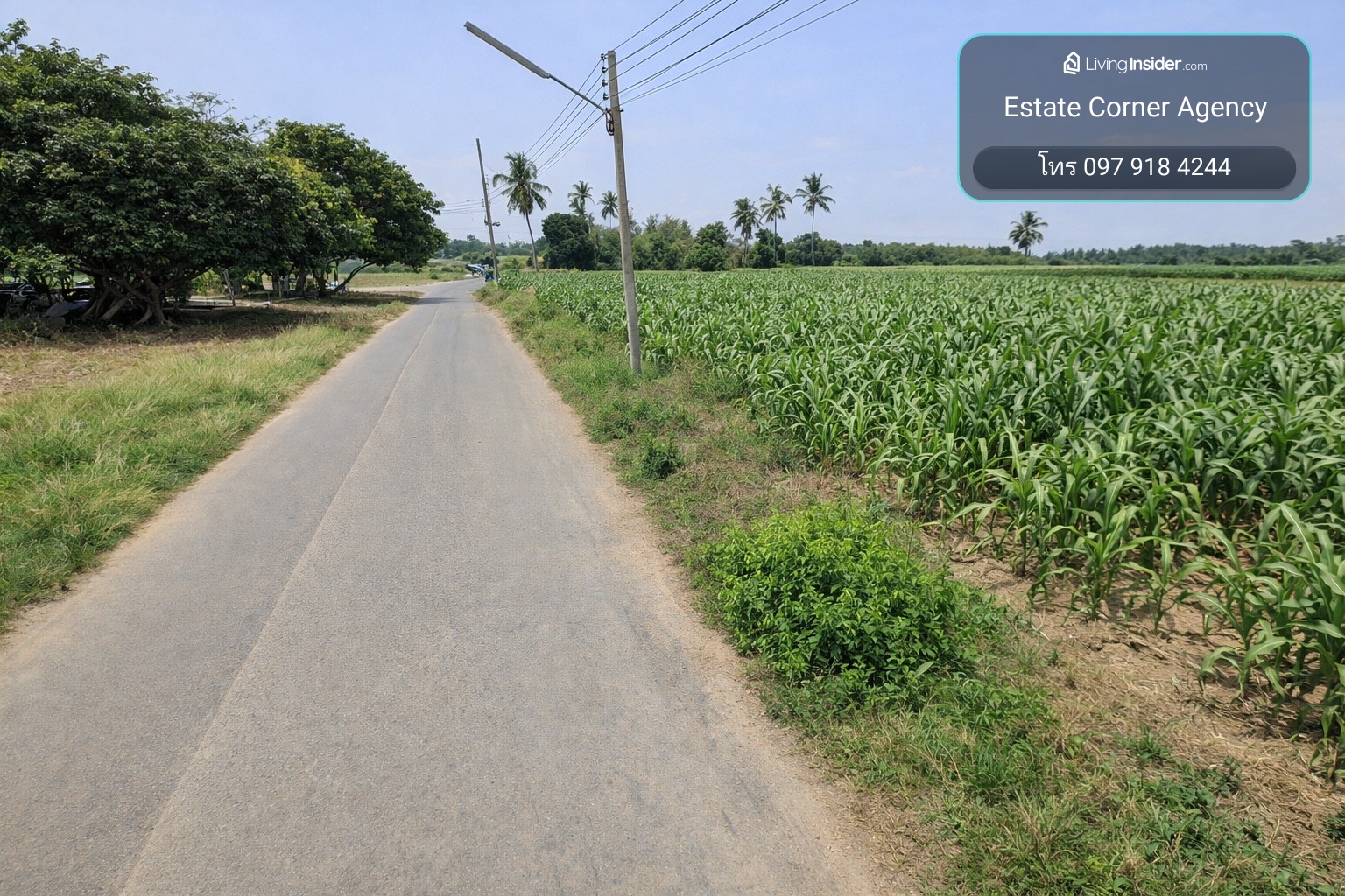 95531 - ขาย ที่ดินแปลงใหญ่ ติดถนนลาดยาง ต.วังขนาย อ.ท่าม่วง จ.กาญจนบุรี – รูปที่ 2