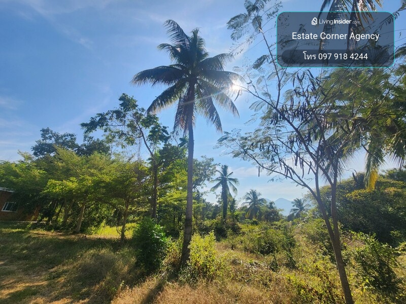 88472 - ขายที่ดินสวยมะพร้าวสามร้อยยอด ประจวบคีรีขันธ์ – รูปที่ 4