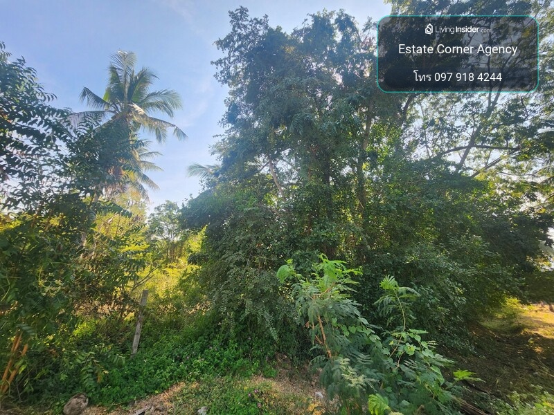 88472 - ขายที่ดินสวยมะพร้าวสามร้อยยอด ประจวบคีรีขันธ์ – รูปที่ 3