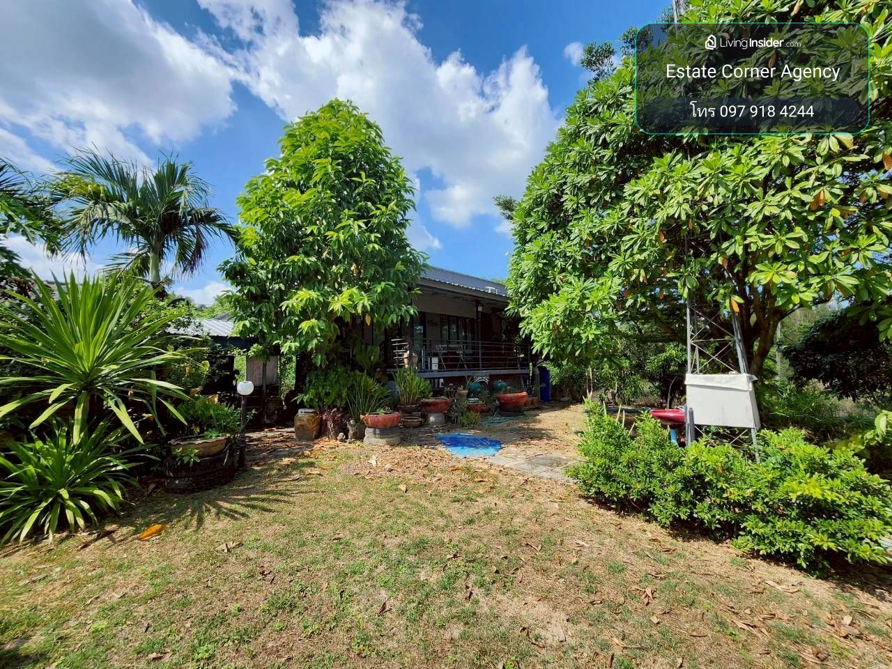 94713 - Kaeng Krachan land for sale with buildings. – รูปที่ 3