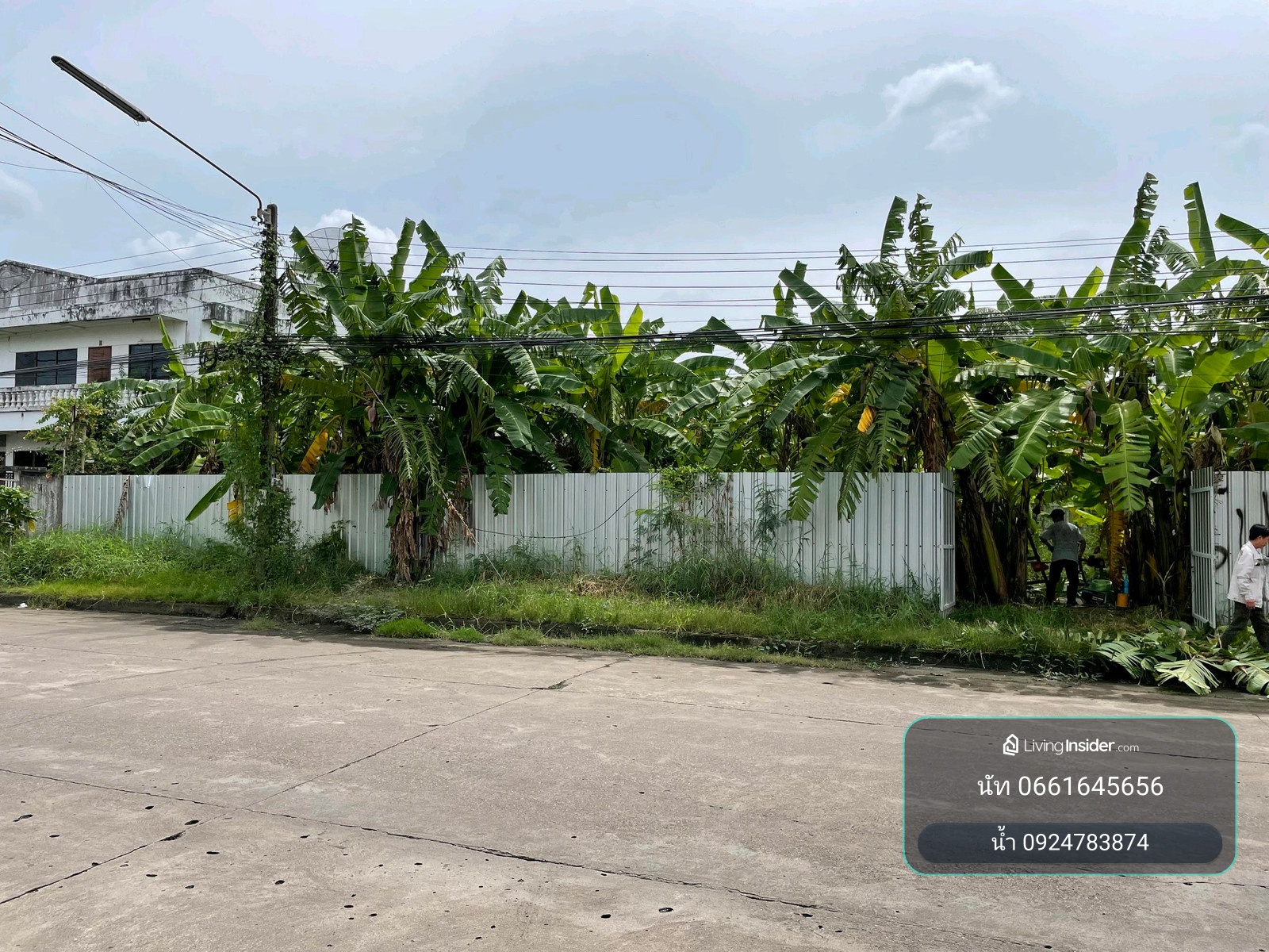🏡 ขายที่ดินเปล่าถมแล้ว 250 ตรว.พัฒนาการ 65 เมืองทองการ์เด้น 2 แปลงสวยแปลงหัวมุม! – รูปที่ 3