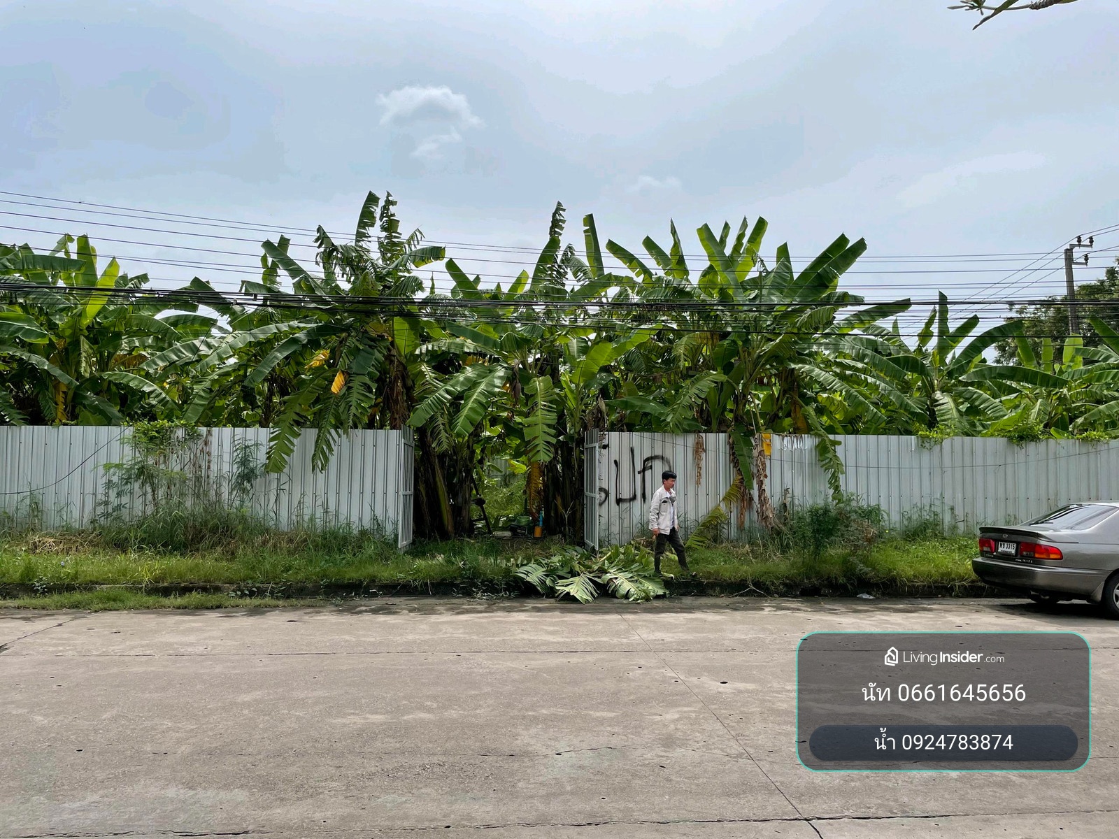 🏡 ขายที่ดินเปล่าถมแล้ว 250 ตรว.พัฒนาการ 65 เมืองทองการ์เด้น 2 แปลงสวยแปลงหัวมุม! – รูปที่ 2