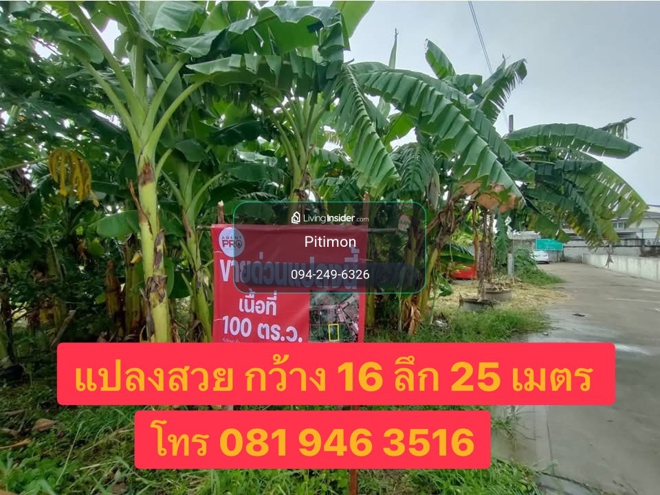 📍 ขายที่ดินถมแล้ว 100 ตร.ว. | ซอยงบประมาณ ปากเกร็ด นนทบุรี – รูปที่ 3