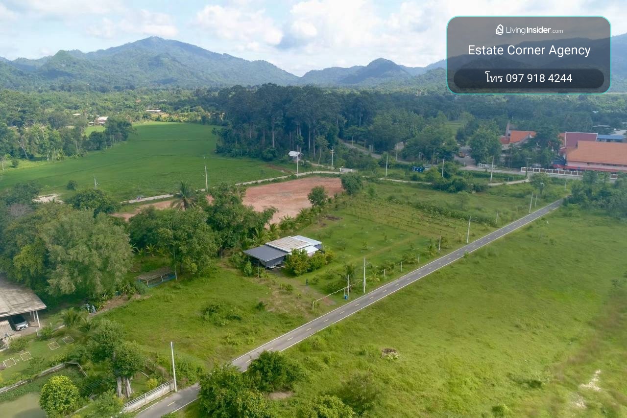 96886 - ขายบ้านสวนวิวเขา 360° เขาพระ นครนายก 2 ไร่ พร้อมบ้าน+สวนผลไม้ เหมาะทำพูลวิลล่า/รีสอร์ท – รูปที่ 4