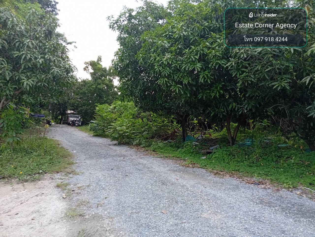 98545 - ขายที่ดินขนาด 242.1 ตรว. ตรงข้าม อบต.บางขนุนเดิม ใกล้วัดแก้วฟ้า – รูปที่ 2