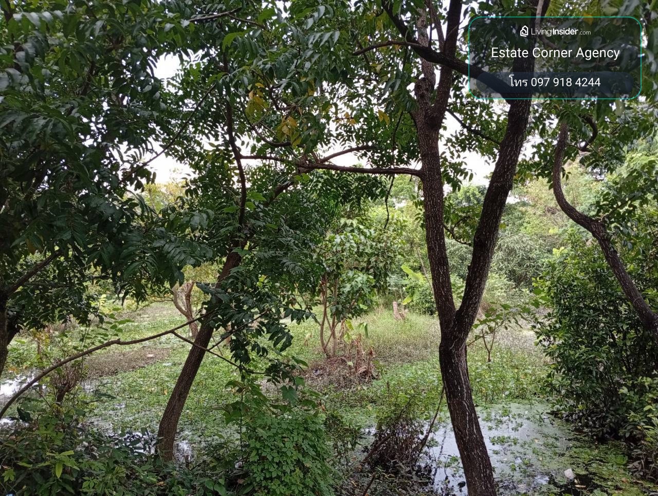 98545 - ขายที่ดินขนาด 242.1 ตรว. ตรงข้าม อบต.บางขนุนเดิม ใกล้วัดแก้วฟ้า – รูปที่ 4