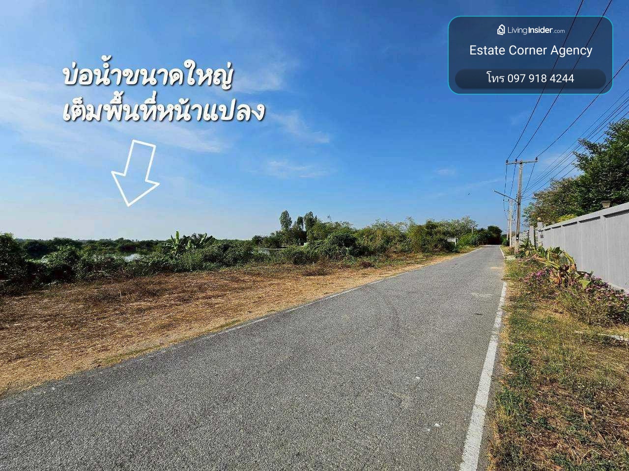 95431 - Large plot of land for sale with pond, 53 rai, next to the road (near Road 3064), Khok Phutsa Subdistrict, Pho Thong District, Ang Thong Province, title deed ready for immediate transfer, suitable for farming, agriculture, businesses that require  – รูปที่ 2