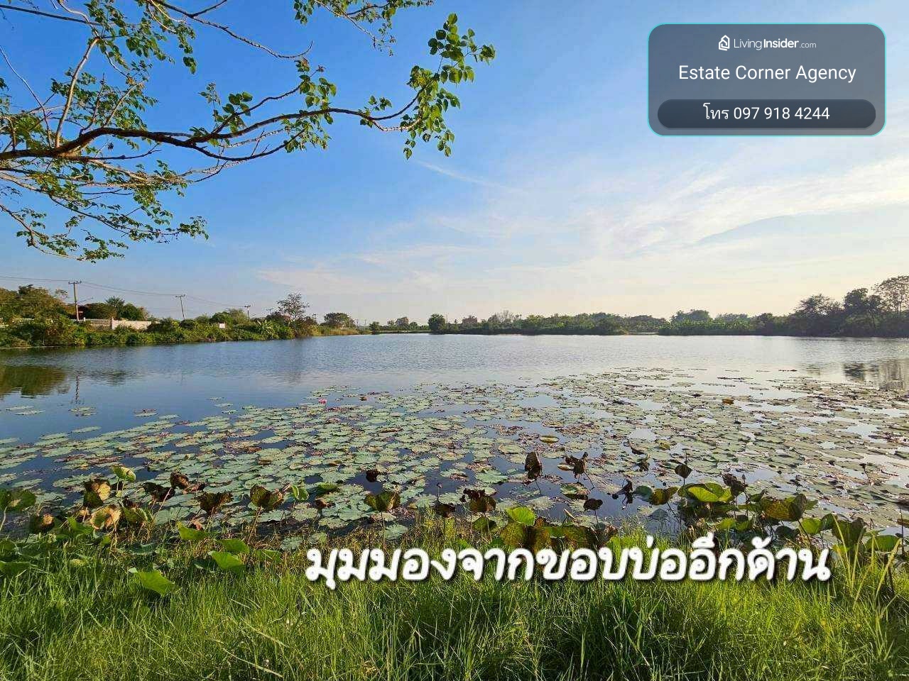 95431 - Large plot of land for sale with pond, 53 rai, next to the road (near Road 3064), Khok Phutsa Subdistrict, Pho Thong District, Ang Thong Province, title deed ready for immediate transfer, suitable for farming, agriculture, businesses that require  – รูปที่ 3