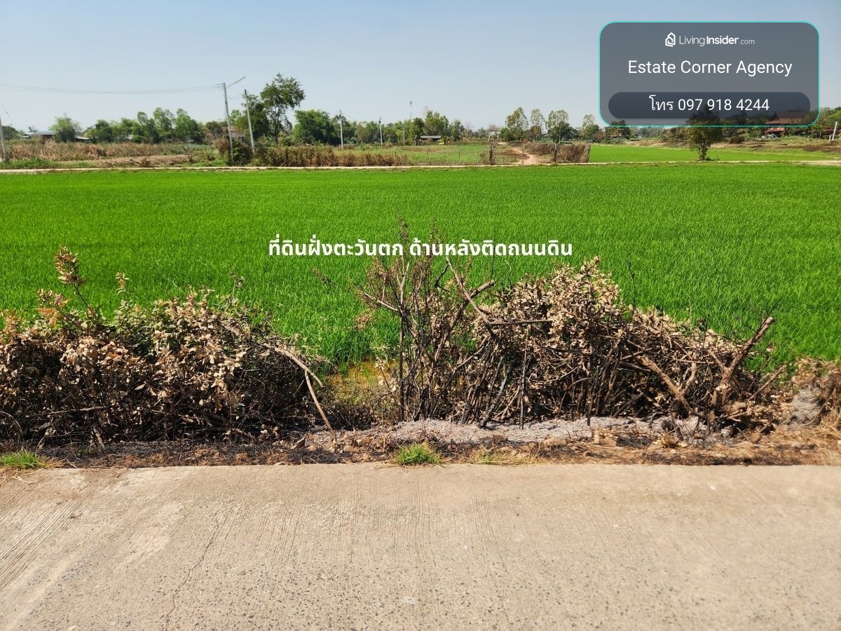 95682 - Land for sale 9-3-04 rai, next to concrete road, near Krachaeng Subdistrict Administrative Organization, Bang Sai District. – รูปที่ 3