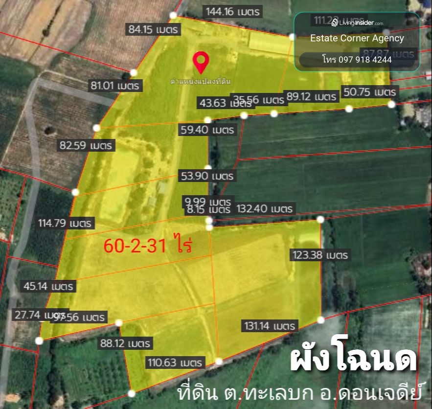 95451 - ขายด่วน ที่ดินดอนเจดีย์ แปลงใหญ่ 60 ไร มีรั้วปูนรอบแนวเขตที่ดินแล้ว – รูปที่ 3