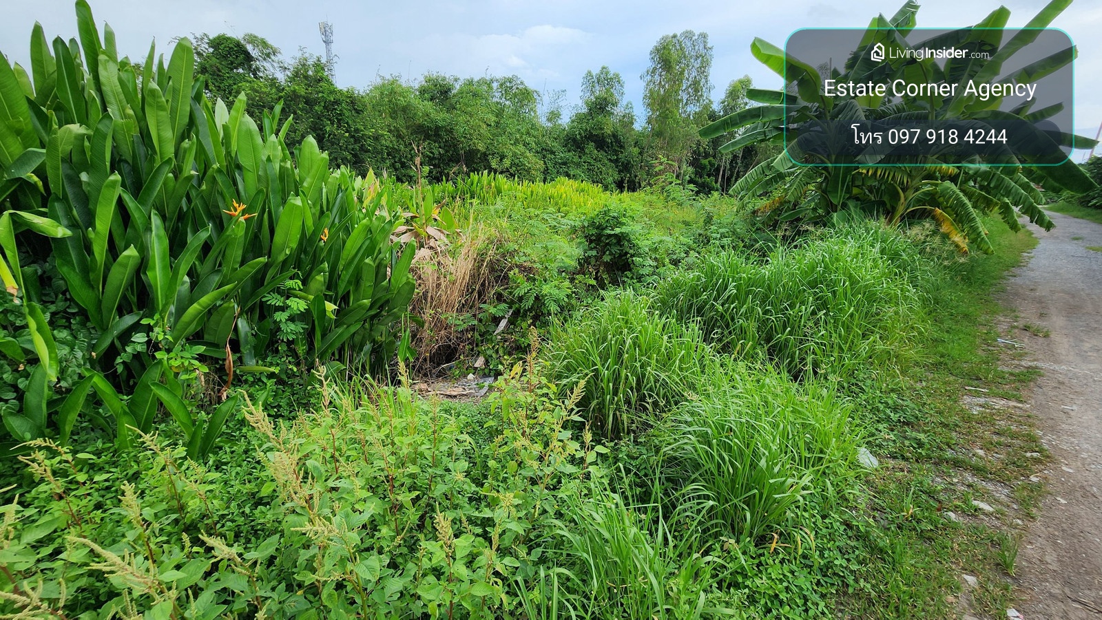 98686 - Empty land for sale in Soi Khlong 6, Lam Luk Ka, 241 square meters, opposite the apartment. – รูปที่ 3