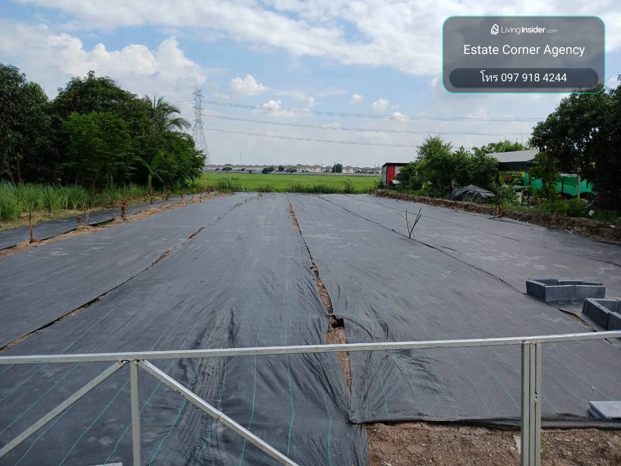 98666 - ขายที่ดินแปลงสวย ทำเลดี พร้อมสร้างบ้าน แบ่งแปลง 218.5 ตร.ว. ถนน ไทรน้อย ต.บางบัวทอง อ.บางบัวทอง – รูปที่ 4