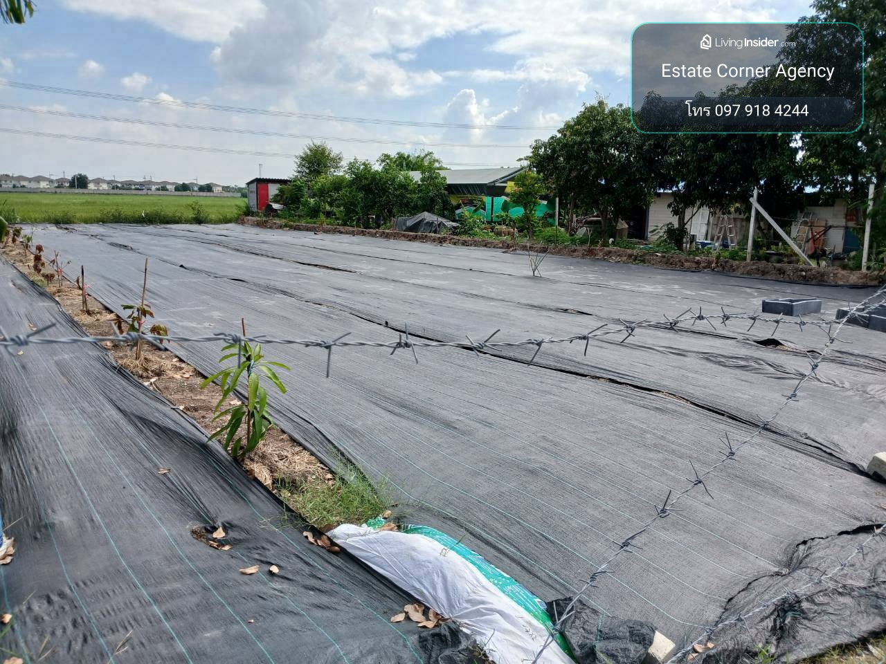 98666 - ขายที่ดินแปลงสวย ทำเลดี พร้อมสร้างบ้าน แบ่งแปลง 218.5 ตร.ว. ถนน ไทรน้อย ต.บางบัวทอง อ.บางบัวทอง – รูปที่ 3
