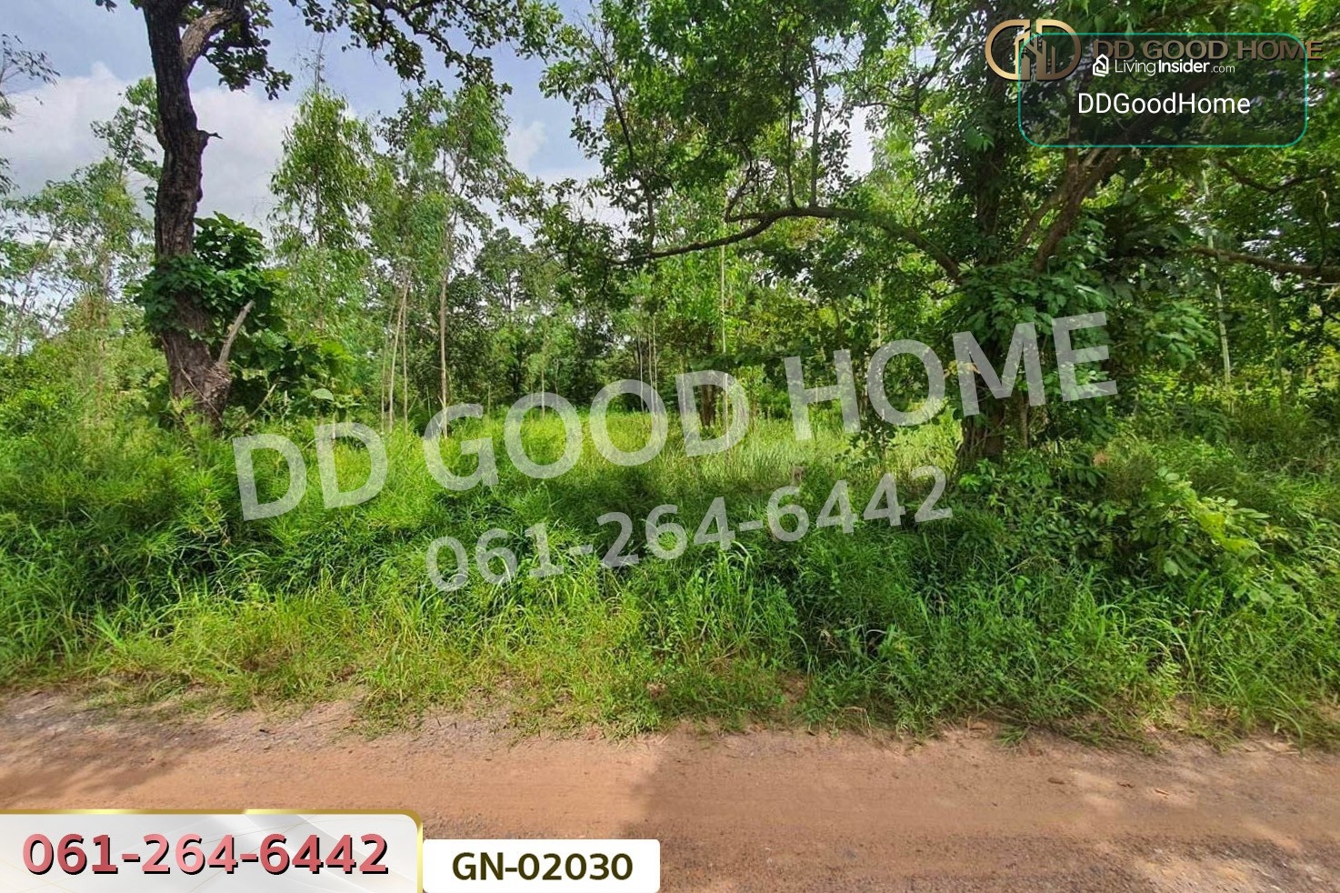 5-rai plot of land in Mueang Chaiyaphum GN-02030 – รูปที่ 2