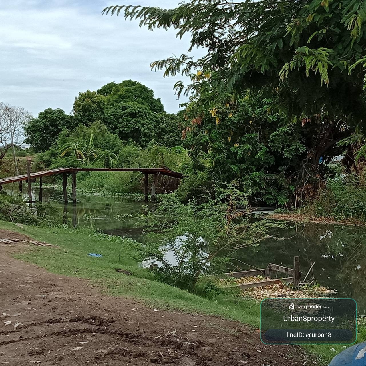 ★Land for sale behind Bang Phli housing estate, 10 rai, wide, good atmosphere, suitable for opening a shop. or do various activities ★ – รูปที่ 3