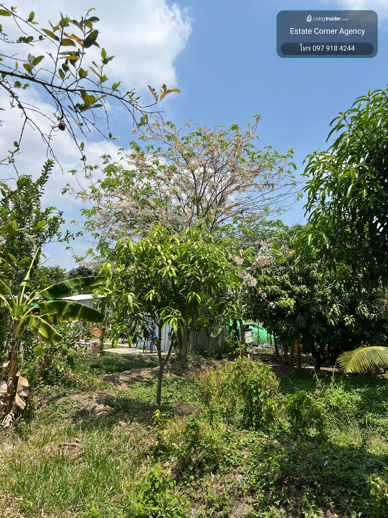 95553 - ขาย ที่ดินเปล่า 156 ตร.ว. คลองพระราชาพิมล อ.บางบัวทอง จ.นนทบุรี – รูปที่ 2