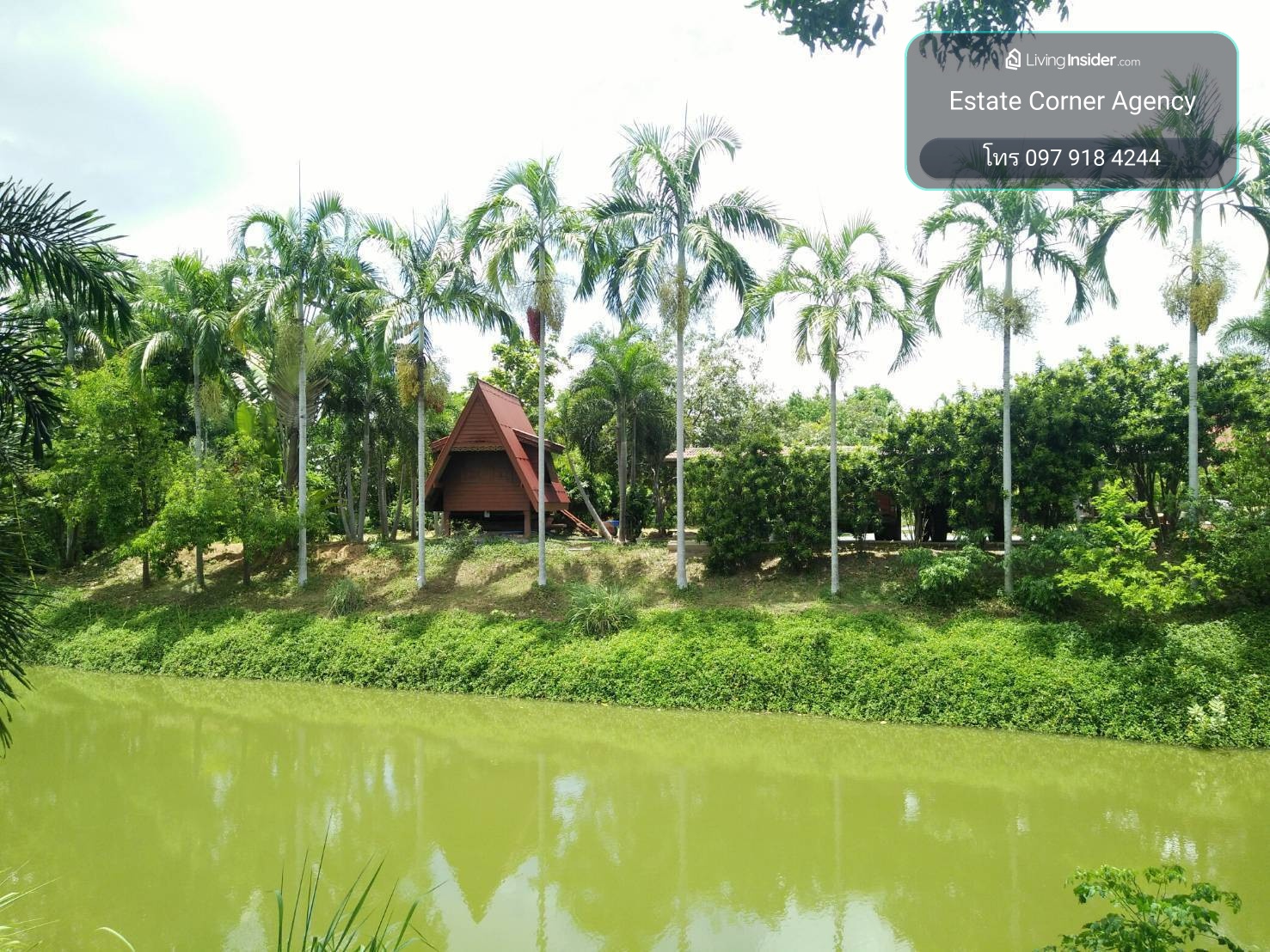 98416 - Urgent sale, land with vacation home, Phlapphla Chai Subdistrict, U Thong, Suphanburi Province. – รูปที่ 4