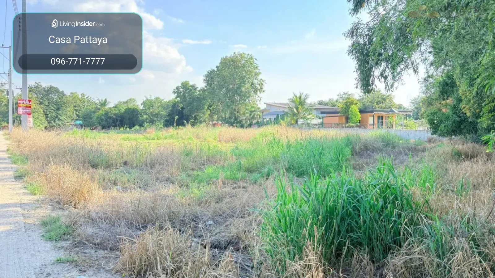 Prime Land for Sale (1 - 3 Rai) Near Takhian Tia Municipal Stadium – รูปที่ 3