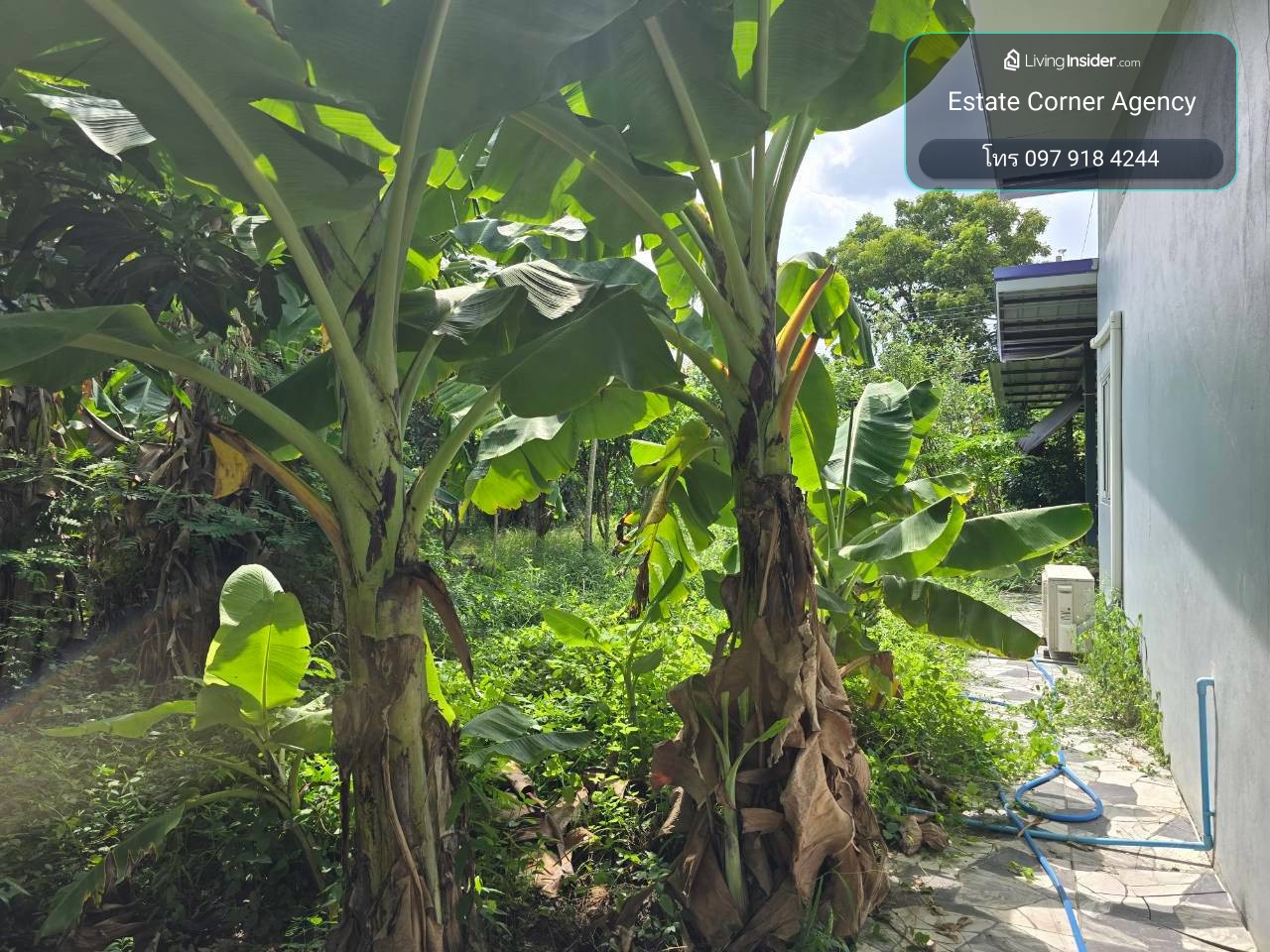 98179 - ขายที่ดิน 100 ตร.ว หลังโรงเรียนนนท์วิทยาลัย ถ.ราชพฤกษ์ ซอยอ้อมเกร็ด1/1 (ซอยตาเอี่ยม) – รูปที่ 2