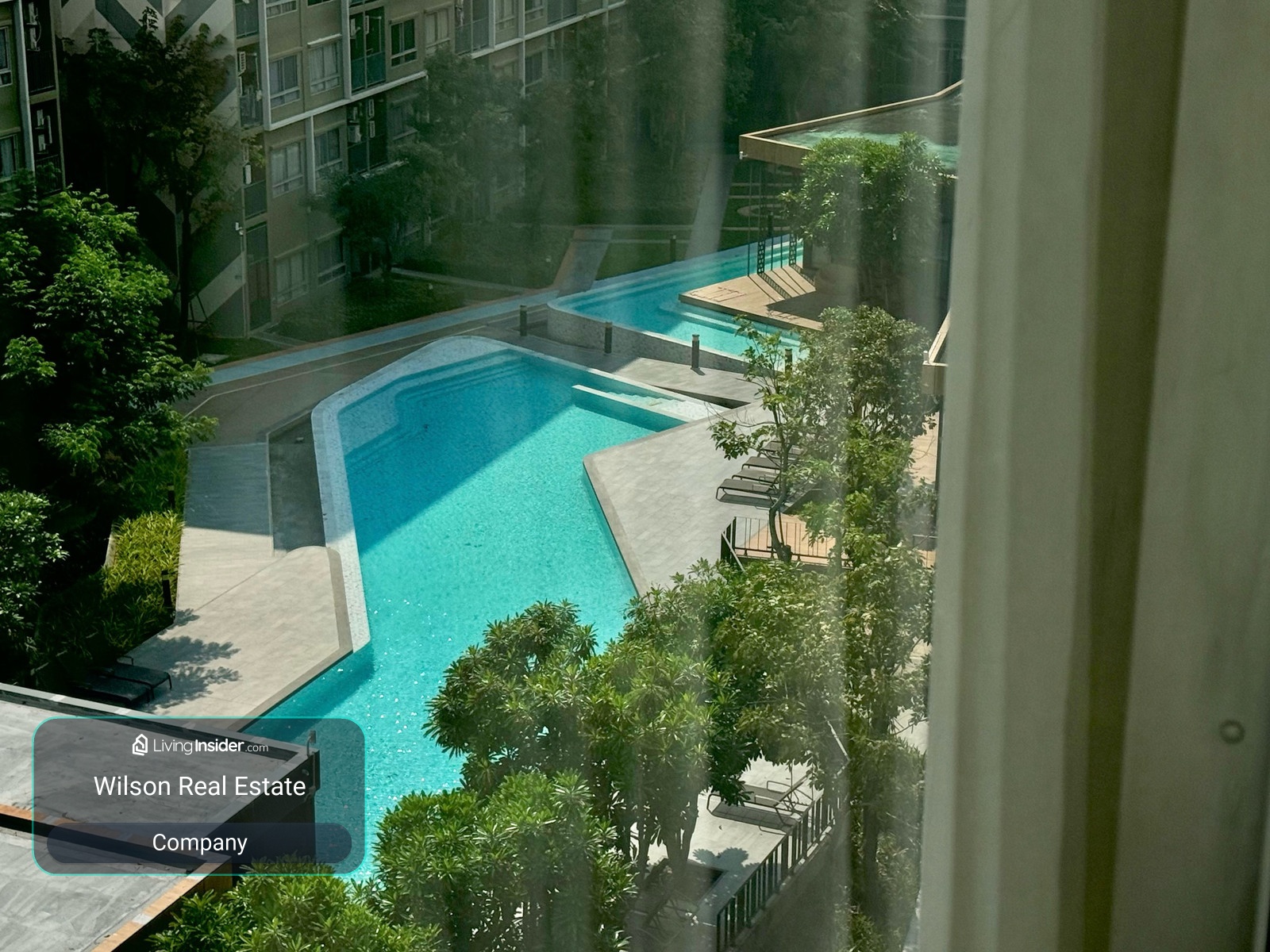 Plum Condo Rangsit Alive 1 pool view – รูปที่ 3