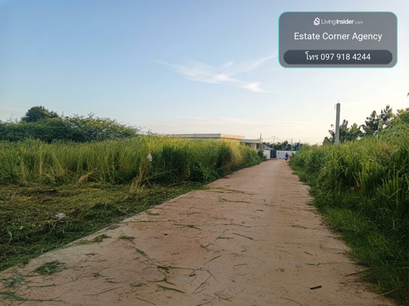 96953 - Land for sale, 140.3 sq m, Black Mountain zone, Hua Hin, next to cement road, water and electricity ready, free transfer fee. – รูปที่ 3