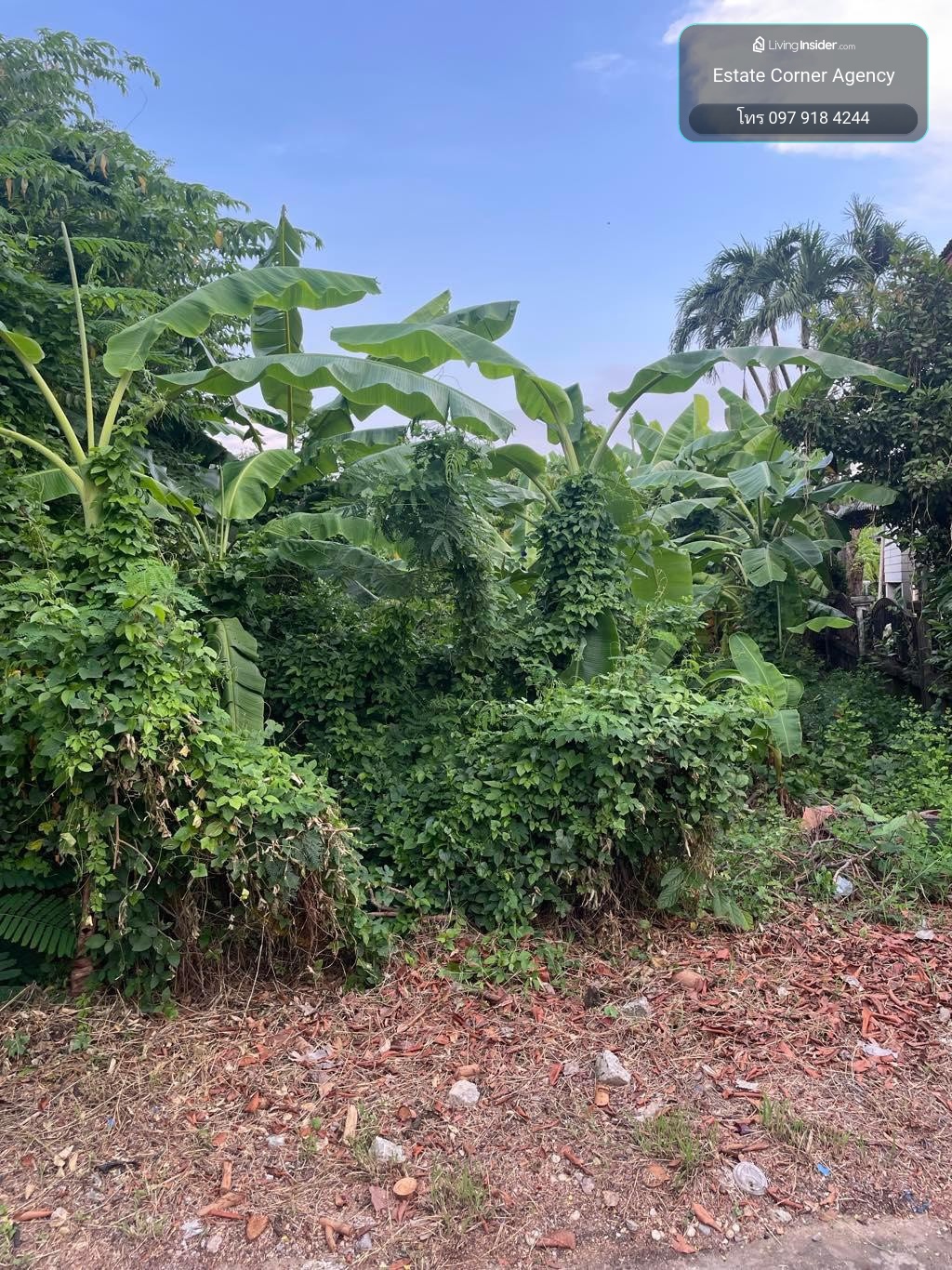 98380 - Empty land for sale, 109 square wah, Phimonrat Subdistrict, Bang Bua Thong District, Nonthaburi Province. – รูปที่ 3