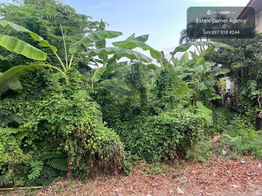 98380 - Empty land for sale, 109 square wah, Phimonrat Subdistrict, Bang Bua Thong District, Nonthaburi Province. – รูปที่ 4