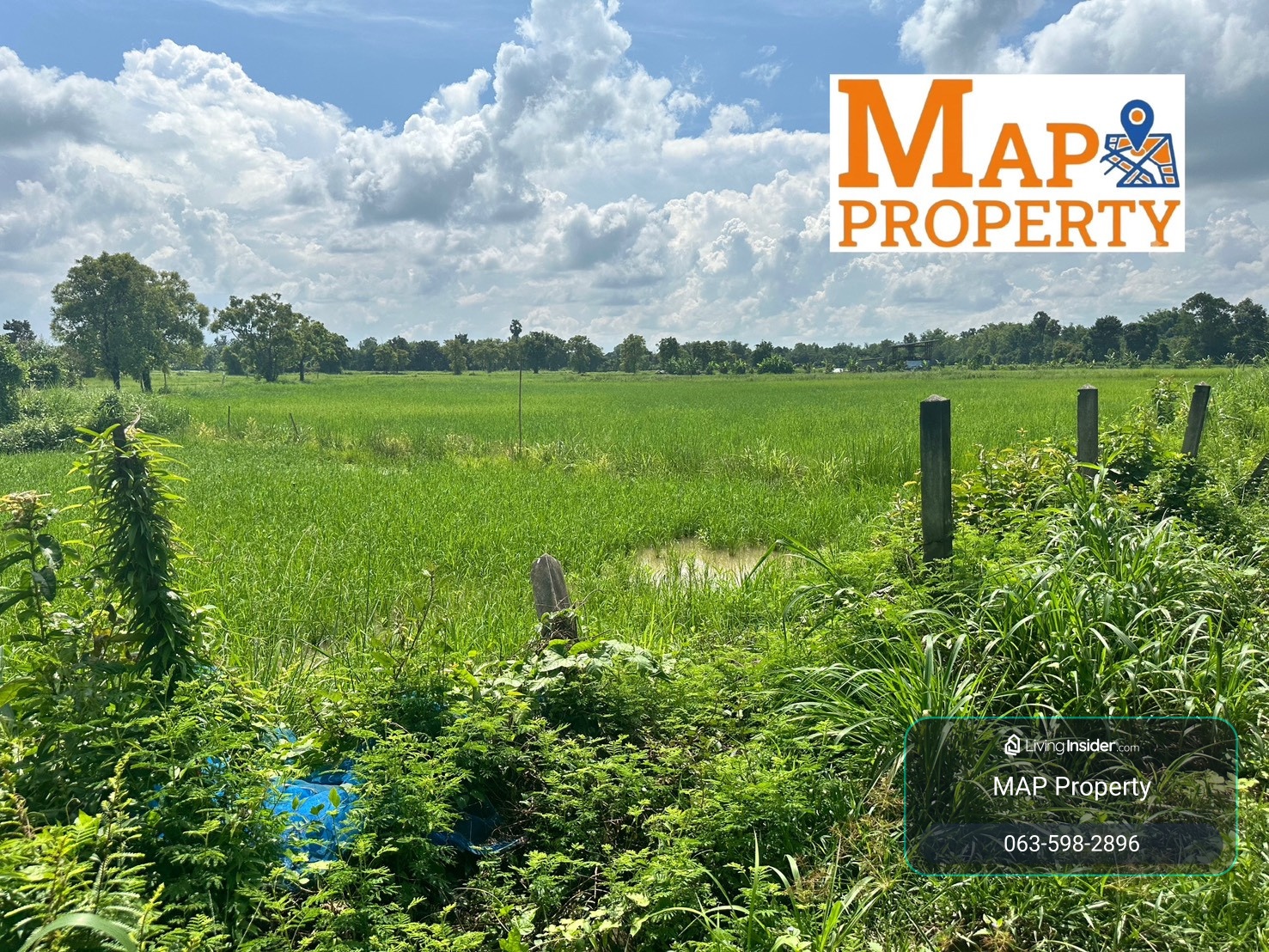 Beautiful farm plot for sale,corner lot with road frontage on 2 sides – รูปที่ 4