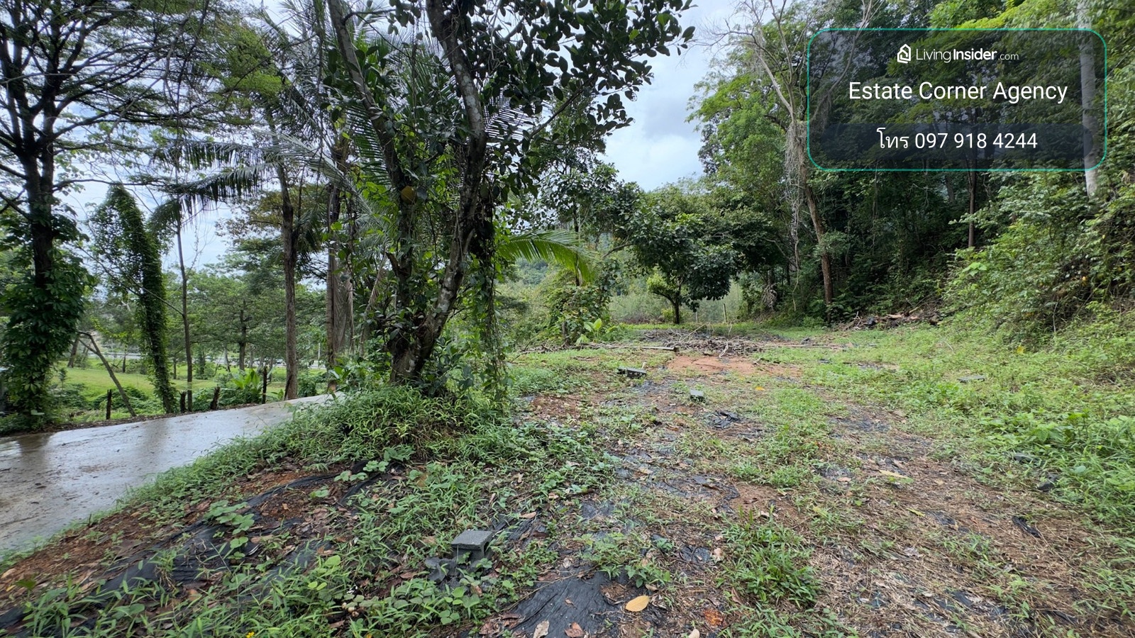 99741 - Empty land for sale next to the road, prime location near Ananda Place Phuket. – รูปที่ 2