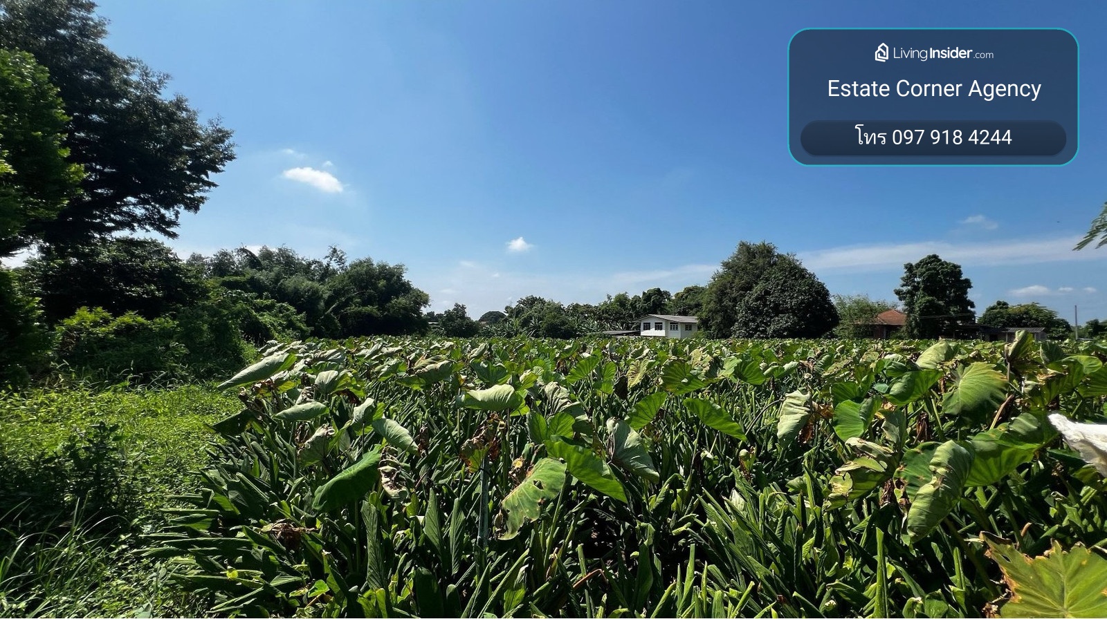 88961 - ขาย ที่ดินเปล่า 2ไร่ ตารางวาละ 5,000 บาทเท่านั้น – รูปที่ 3